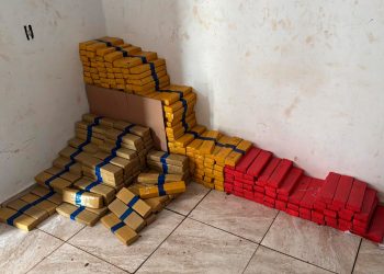 Maior apreensão do ano: PCPR encontra 4,1 toneladas de maconha em Foz do Iguaçu