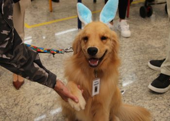 Hospital de Reabilitação inicia projeto de terapia de pacientes com cães da PMPR