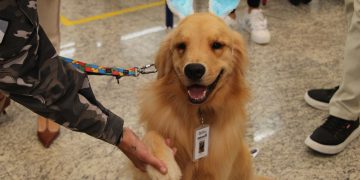 Hospital de Reabilitação inicia projeto de terapia de pacientes com cães da PMPR