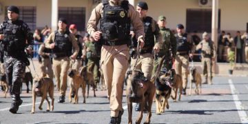 PMPR forma novos policiais especializados no uso de cães e reforça atuação no combate ao crime no Estado