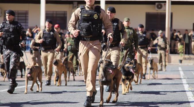 PMPR forma novos policiais especializados no uso de cães e reforça atuação no combate ao crime no Estado