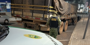 PMPR apreende quase 12 toneladas de baterias e detém motorista por crime ambiental em Vitorino
