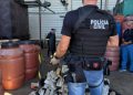 PCPR incinera 639 quilos de entorpecentes apreendidos em Palmeira