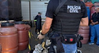 PCPR incinera 639 quilos de entorpecentes apreendidos em Palmeira