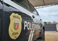 PCPR e PMPR prendem homem posse irregular de arma de fogo e munição em Tapejara