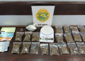 PMPR prende homem por tráfico de drogas em Guarapuava