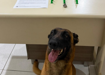 PMPR prende foragido com drogas após tentativa de fuga