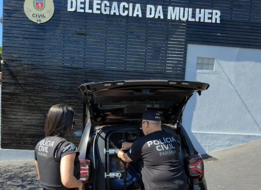 PCPR prende homem em flagrante por porte ilegal de munição em Umuarama