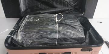 Guarda Municipal apreende 24 quilos de maconha na Rodoviária de Curitiba