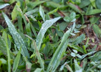 Com massa de ar polar, Paraná tem primeiras temperaturas negativas e recorde de frio no ano