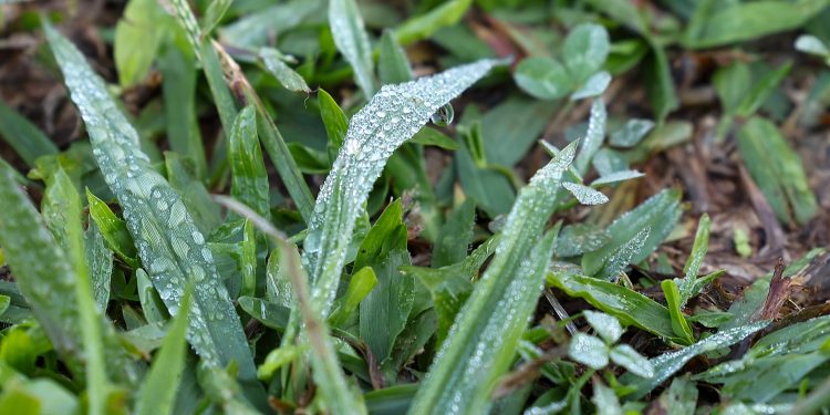 Com massa de ar polar, Paraná tem primeiras temperaturas negativas e recorde de frio no ano