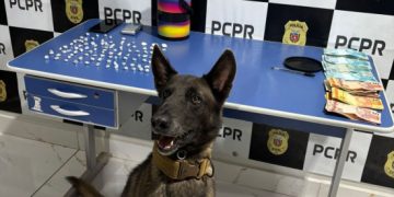 PCPR e PMPR prendem cinco pessoas em operação contra o tráfico de drogas no Oeste