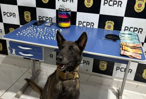 PCPR e PMPR prendem cinco pessoas em operação contra o tráfico de drogas no Oeste