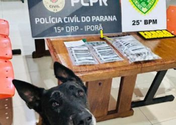 Forças de Segurança prendem mãe e filho flagrante por tráfico de drogas em Francisco Alves