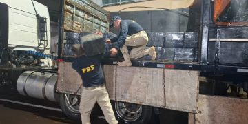 PRF apreende mais de 2,3 toneladas de maconha em carreta na BR-277