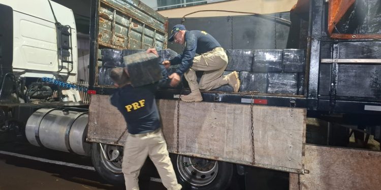 PRF apreende mais de 2,3 toneladas de maconha em carreta na BR-277