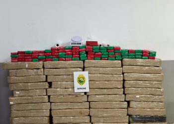 RONE apreende mais de 648 quilos de maconha em Colombo