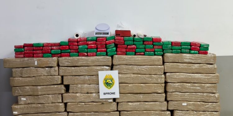 RONE apreende mais de 648 quilos de maconha em Colombo