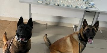 Cães da CIOC localizam crack em veículo abandonado e dois homens são presos no Parolin