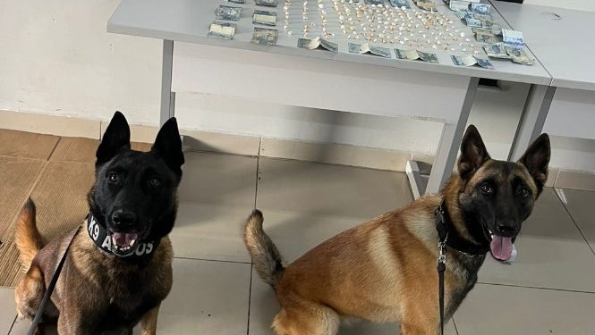 Cães da CIOC localizam crack em veículo abandonado e dois homens são presos no Parolin