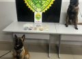 CIOC apreende drogas com apoio de cães e prende dois suspeitos no Sítio Cercado