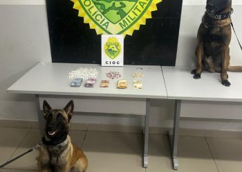 CIOC apreende drogas com apoio de cães e prende dois suspeitos no Sítio Cercado