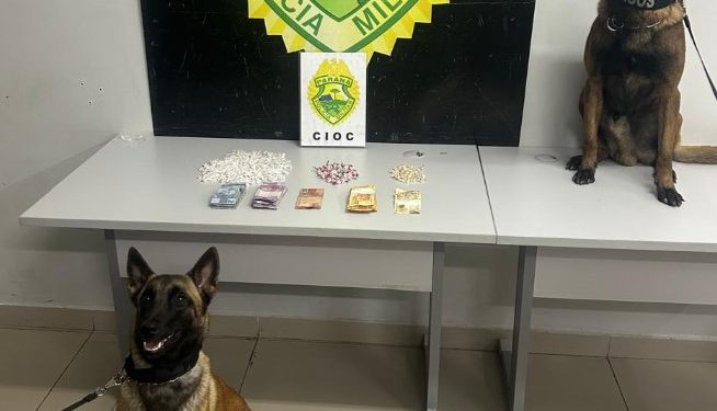 CIOC apreende drogas com apoio de cães e prende dois suspeitos no Sítio Cercado
