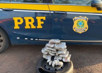 PRF prende três estrangeiros com drogas escondidas em veículos na BR-163