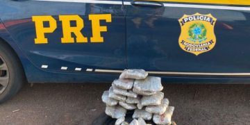 PRF prende três estrangeiros com drogas escondidas em veículos na BR-163