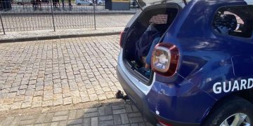 Adolescente é agredida dentro de ônibus a caminho do estágio em Curitiba; agressora foi detida pela GM