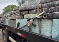 PM apreende mais de 5 toneladas de maconha e fuzil escondidos em carga de mandioca no Paraná