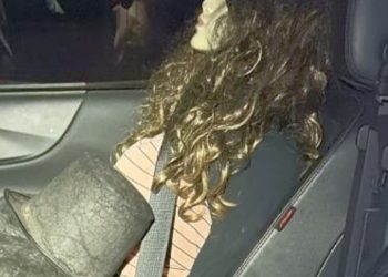 PRF e FICCO apreendem SUV carregado com skunk e manequim para despistar fiscalização no Paraná