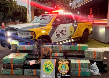 Forças de segurança apreendem quase três toneladas de drogas em operações