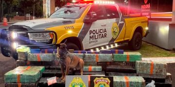 Forças de segurança apreendem quase três toneladas de drogas em operações