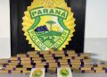 CORP e equipes do 12º BPM apreendem mais de 24 quilos de maconha e desarticulam mais um esquema de tráfico delivery em Curitiba