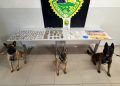 CIOC apreende drogas durante ação no Parolin, em Curitiba