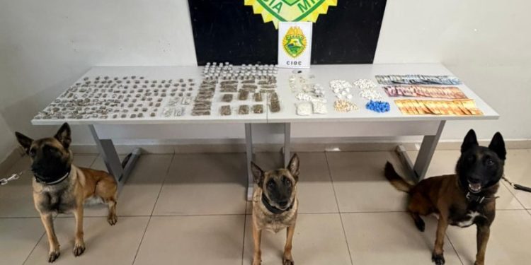 CIOC apreende drogas durante ação no Parolin, em Curitiba
