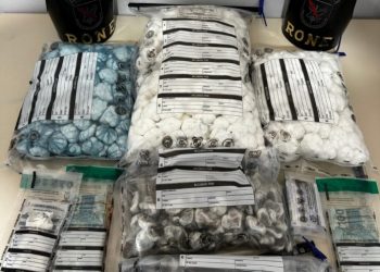 RONE apreende mais de 10 mil buchas de cocaína durante operação no Parolin