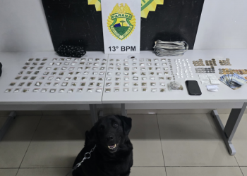 PMPR apreende substâncias ilícitas ao avistar suspeito durante patrulhamento