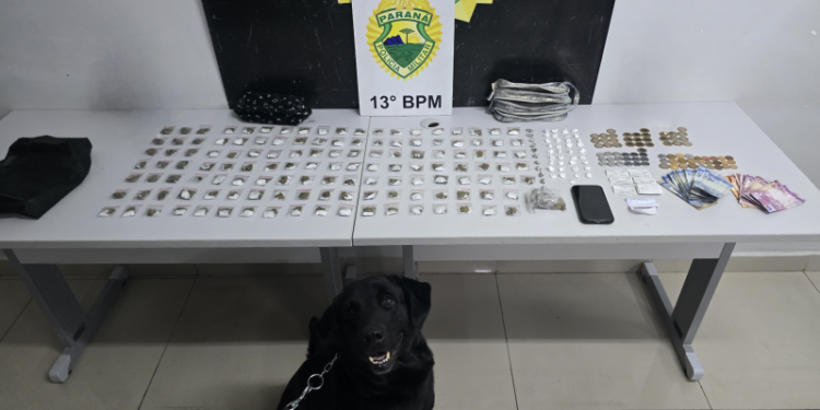 PMPR apreende substâncias ilícitas ao avistar suspeito durante patrulhamento