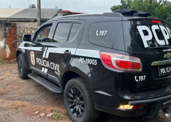 PCPR prende homem por tráfico de drogas e apreende pés de maconha no Norte do Estado