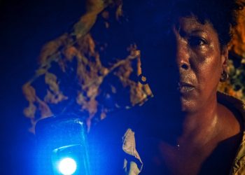 Olhar de Cinema – Festival Internacional de Curitiba divulga programação da 15ª edição