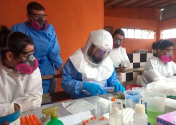Paraná mantém vigilância rigorosa contra hantavirose