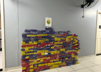 Polícia Militar apreende mais de 380 quilos de maconha após abordagem na BR-277