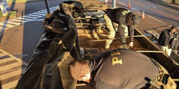 PRF apreende mais de 2 toneladas de maconha em caminhão na BR-163
