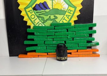 ROTAM apreende mais de 21 quilos de maconha em ônibus interestadual em Curitiba