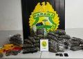 ROTAM apreende maconha e prende casal no Fazendinha