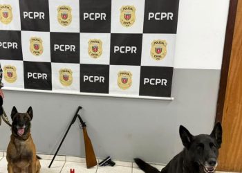 Homem é preso após indicar local onde escondia espingarda em Colombo