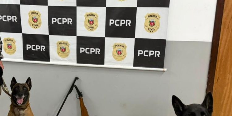 Homem é preso após indicar local onde escondia espingarda em Colombo