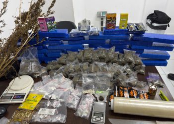 CORP apreende cerca de 20 quilos de drogas e prende suspeito de tráfico em São José dos Pinhais